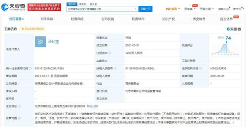 太合音乐战略布局再升级，成立有秀必应新公司专注基础软件服务
